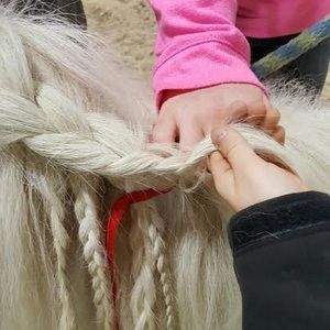 Meet your Posher, Anne